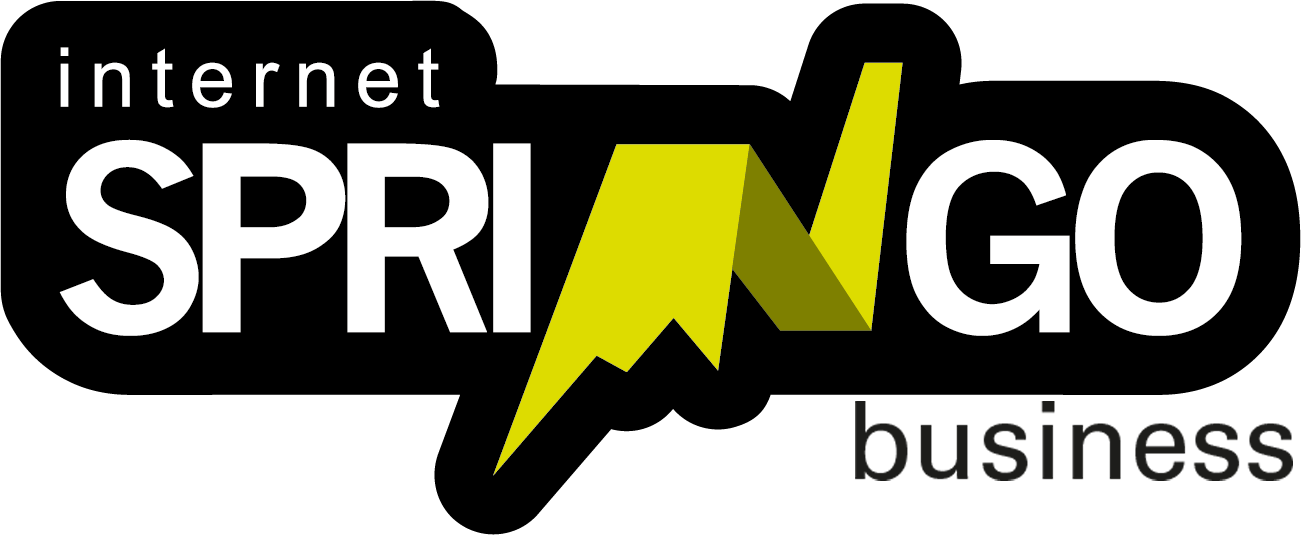 SPRINGO SRL