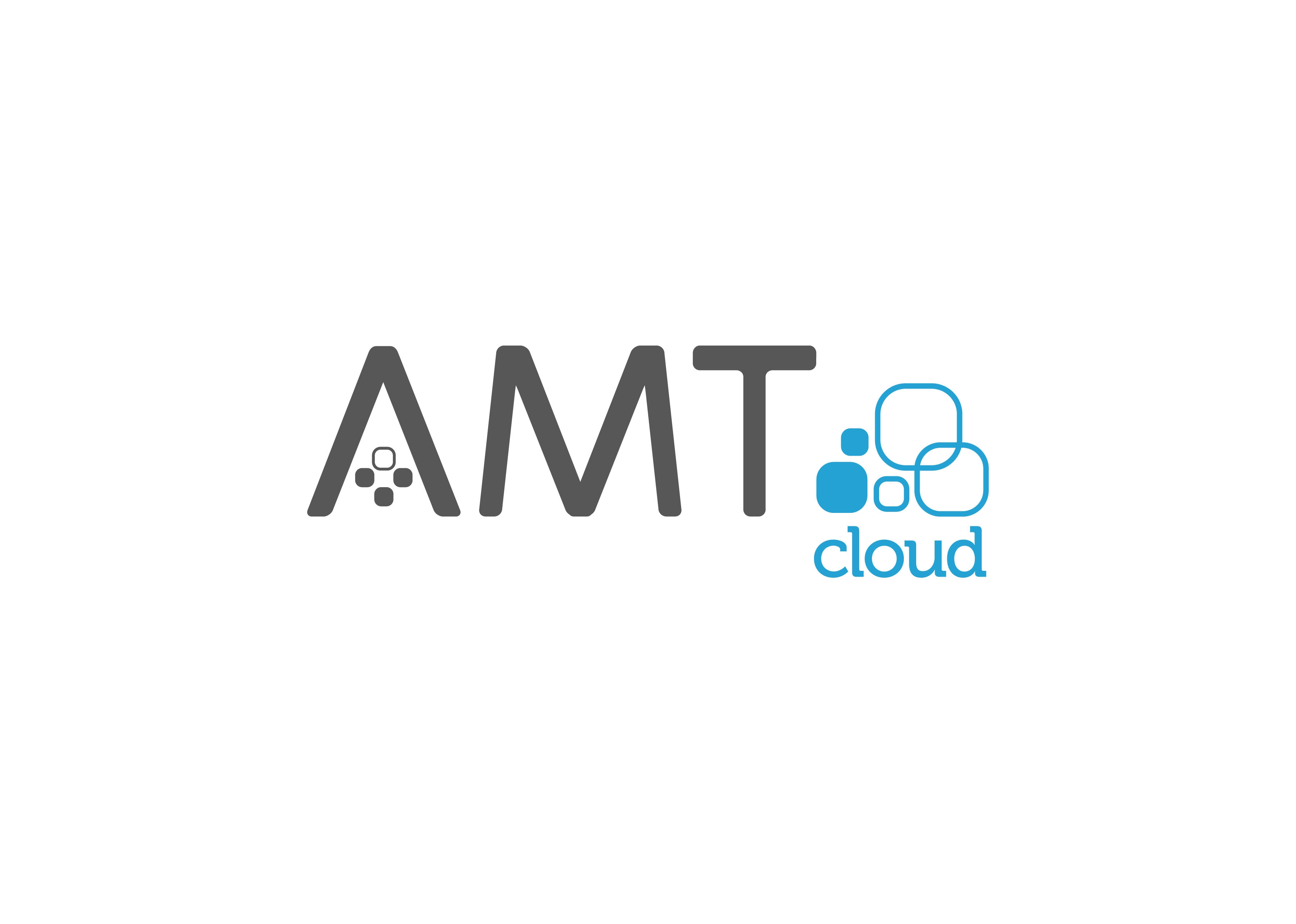 AMT Services