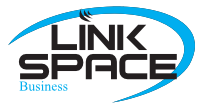 Link Space srl